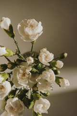 Fototapeta premium Closeup view of carnation flowers bouquet in aesthetic sunlight shadows. Valentine's Day, Mother's Day floral composition