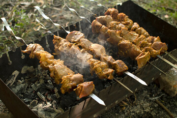 Shish kebab BBQ meat  on grill. Shashlik