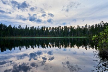 Beautiful shot of a reflective lake near the lush Pallastunturi National Park in Lapland, Finland