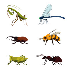 Set of flat icons of insects