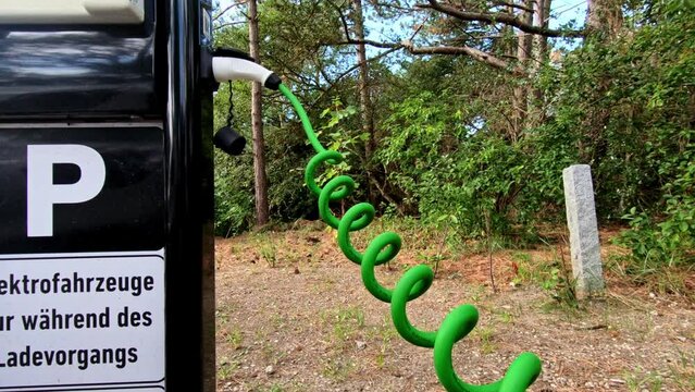 power cable connected with a charger plugged into a black electric car, sun, and tree in the background, close up