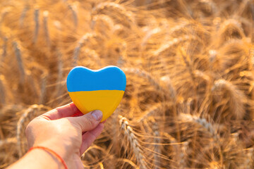 Flag of Ukraine in a wheat field. Selective focus.