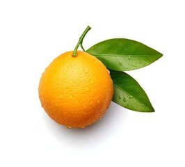 orange with leaves