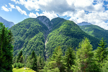 Triglav National Park with beautiful mountains and trees in Slovenia
