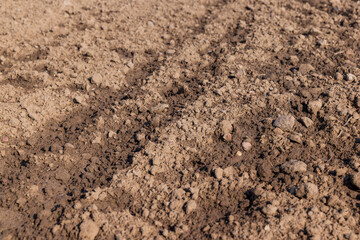 the plowed soil during preparation for sowing agricultural plants