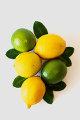 Fresh limes and lemons on a white background.
View top.
