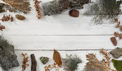 Minimalist Nordic Winter Banner Forest Elements on Distressed White Wooden Background