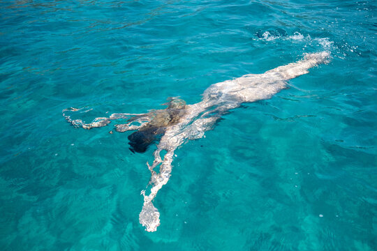 Im Urlaub nackt im k&uuml;hlen t&uuml;rkisen Meer schwimmen.