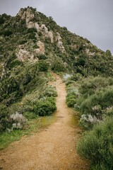 Scenic road with some bushes and a mountain in the background, La Gomera, Spain, Canary Islands