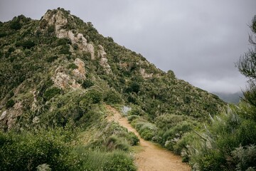 Scenic view of a winding mountain trail surrounded by lush evergreen trees, La Gomera, Spain