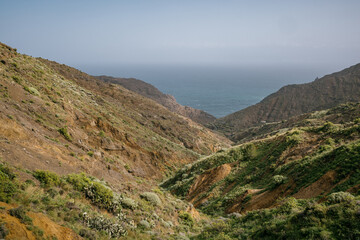 Valley below the ocean with a few bushes and flowers