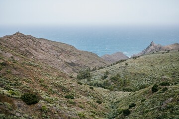 Scenic view of lush greenery growing along a hilly landscape, La Gomera, Spain, Canary Islands
