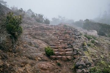 Rocky path with steps ascending up through the misty morning fog