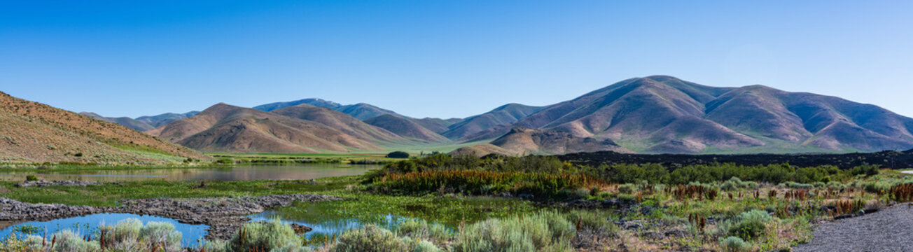 Panorama of Geese on the Little Wood River with the Pioneer Mountains in the Background in July near Richfield, Idaho, USA