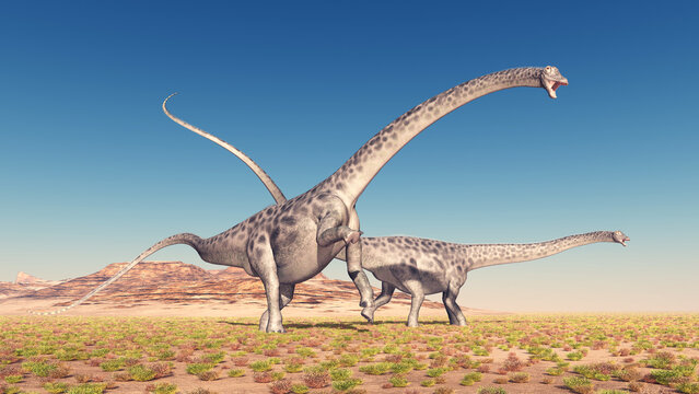 Dinosaurier Diplodocus in einer Wüstenlandschaft