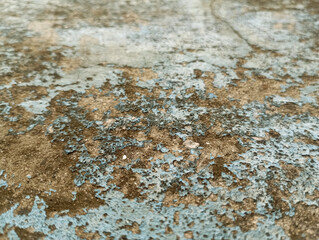 Detailed brown tones of a felled tree trunk or stump.Detailed organic surface from nature.Rough organic texture of tree rings with close up of end grain.