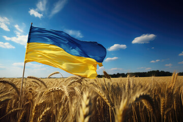 Ukrainian flag on wheat field against blue sky background. Independence Day of Ukraine, flag day.