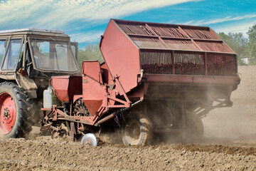 Planting potatoes in an agricultural farmer field during spring sowing with potato planter.