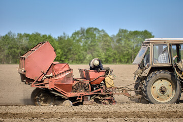 Fototapeta premium Planting potatoes with potato planter hitched to wheeled agricultural tractor.