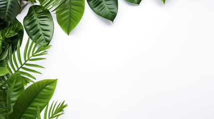 tropical leaves frame on white background for your design. Generative Ai. 