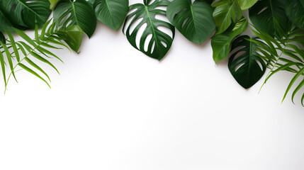 tropical leaves on white background with blank space to insert top view. Generative Ai. 