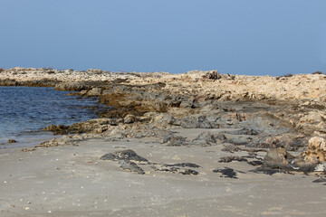 Dor Habonim Beach Nature Reserve , Israel