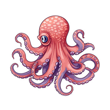  Octopus , Illustration PNG 