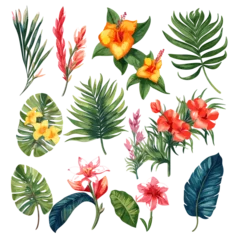 Fototapete Rund Tropical Plants Elements Clipart Plants, Illustration PNG  © CgDesign4U