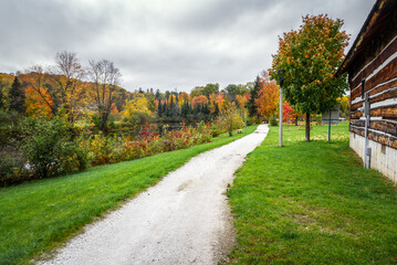 Fototapeta na wymiar Empty gravel footpath on the bank of a river on a cloudy autumn day. Colourful trees at the peak of autumn colours are visible in distance.