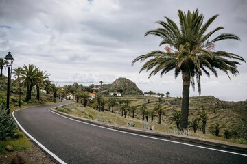 Fototapeta premium Long road with palm trees and a field below it, La Gomera, Canary Islands, Spain