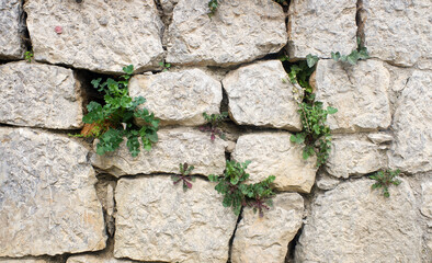 Stone pavers, background texture, roads.