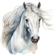 Watercolor portrait of a horse isolated on white background