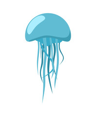 jelly fish