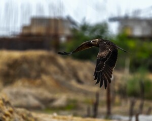 Majestic Merlin flies in the sky above a landscape with towering constructions in the background