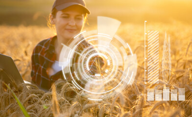 Woman farmer holds an ear of wheat. Grain ripeness analysis infographic