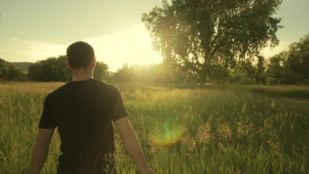 Back view of a male walking through a green field at sunset