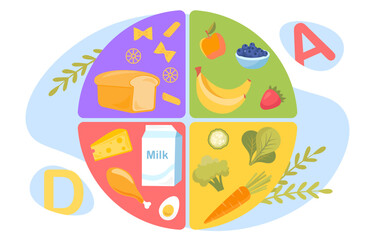 Fototapeta premium Healthy food circle diagram concept. Infographics and educational materials. Fruits, vegetables, bread and meat, milk. Balance proteins, fats and carbohydrates. Cartoon flat vector illustration