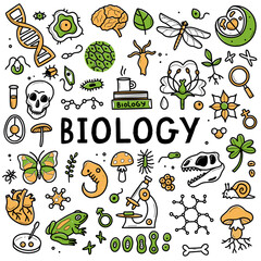 Biology doodle set. Collection of hand drawn elements science biology. Vector illustration isolated on a white background.