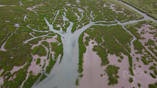 Porlock marsh somerset england uk from the air 