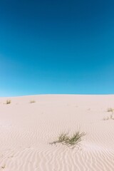 Fototapeta na wymiar Scenic view of huge sand dunes at the Dunas de Taton, Catamarca, Argentina.