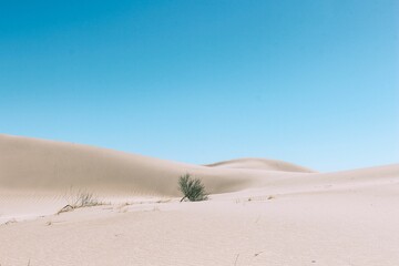 Scenic view of huge sand dunes at the Dunas de Taton, Catamarca, Argentina.