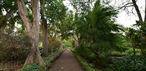 Jardín Botánico de Puerto de la Cruz, Tenerife, Islas Canarias.