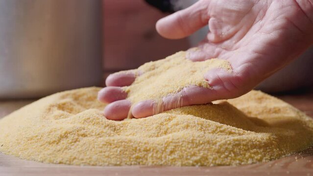 Person taking a heap of polenta, yellow grains of cornmeal, in hand.