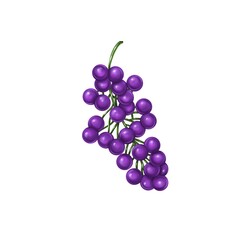 bunch of grapes