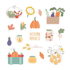 Cute vector illustrations set with pear in eco bag, cute pumpkin, vegetables in box, basket, flowers, fall harvest for stickers, card, banner