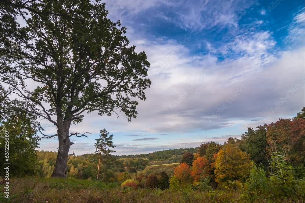 Poster time lapse of autumn landscape in the forest with colorful trees under running clouds