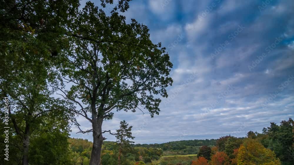 Poster time lapse of autumn landscape in the forest with colorful trees under running clouds