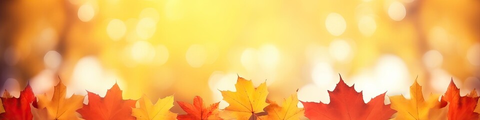 Defocused colorful bright autumn ultra wide panoramic background with blurry red yellow and orange autumn leaves in the park. Border of autumn leaves on a sunny day.