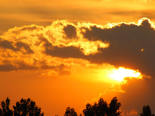 Fototapeta premium sunset in the field