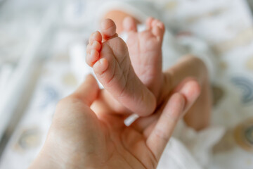 Baby feet in mother hands. Mom and her Child. Happy Family concept. Beautiful conceptual image of...